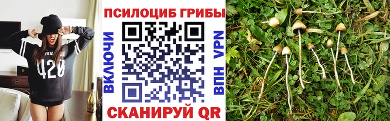Псилоцибиновые грибы прущие грибы  Льгов 